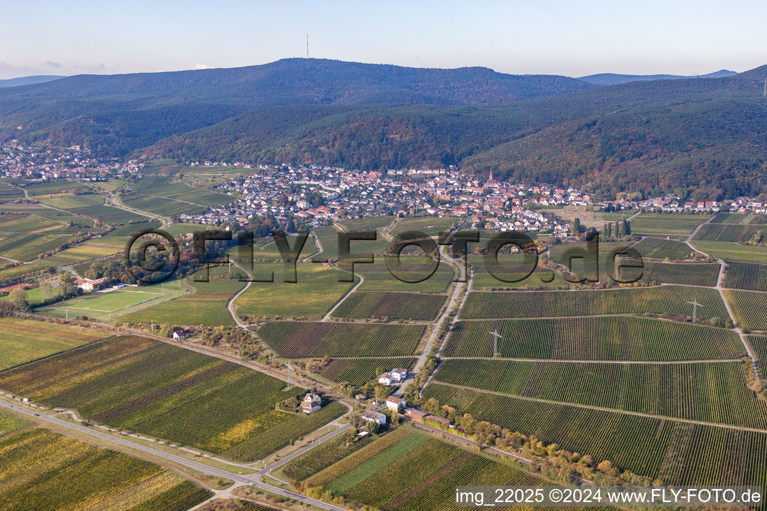 Bird's eye view of District Königsbach in Neustadt an der Weinstraße in the state Rhineland-Palatinate, Germany