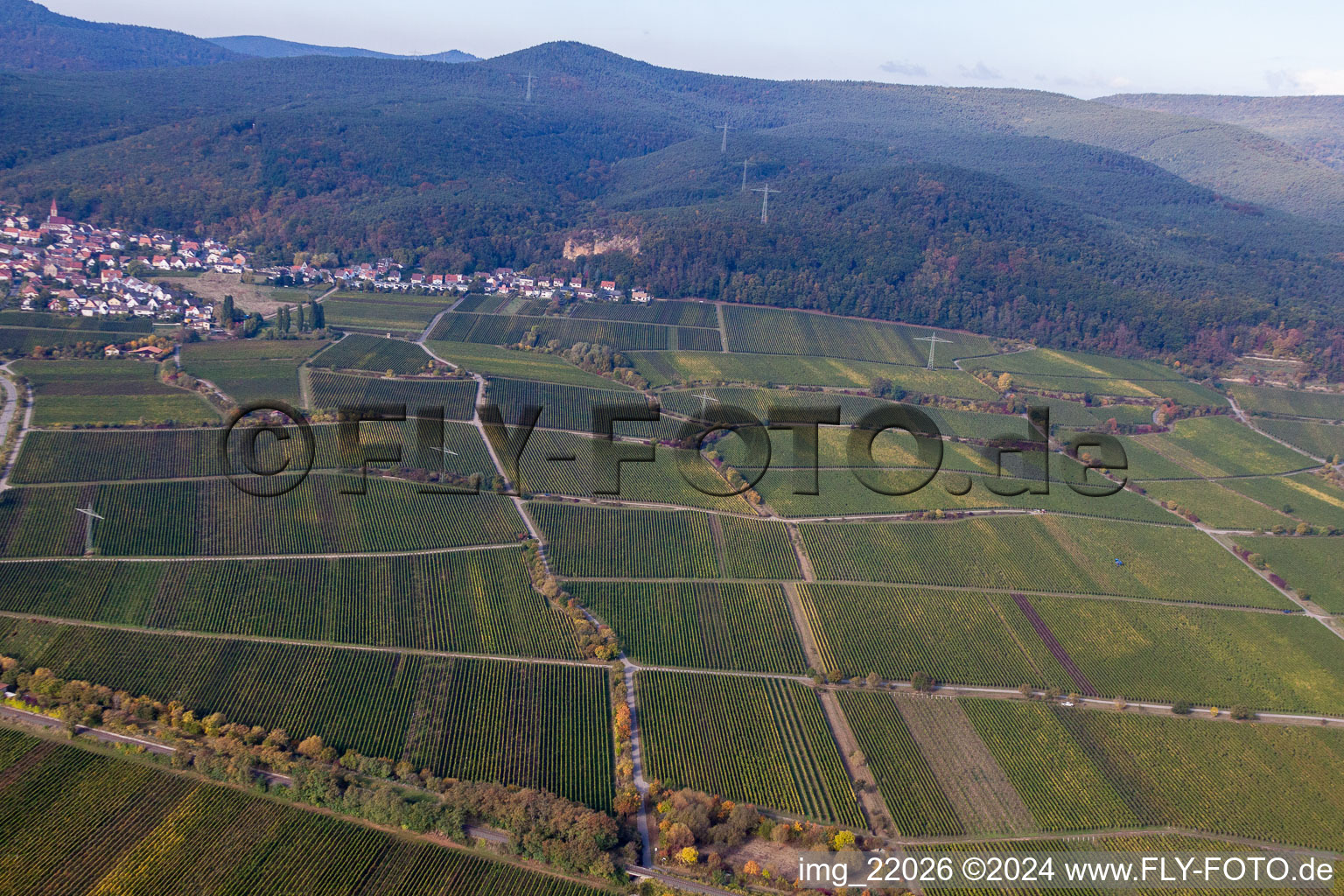 District Königsbach in Neustadt an der Weinstraße in the state Rhineland-Palatinate, Germany viewn from the air