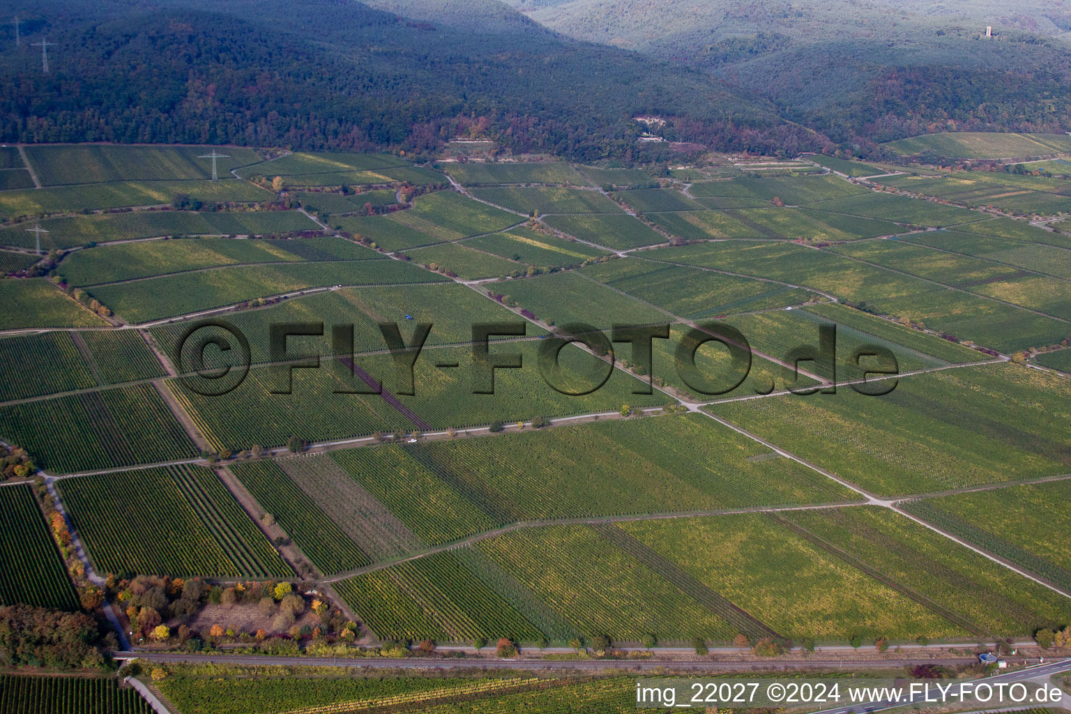 Deidesheim in the state Rhineland-Palatinate, Germany out of the air