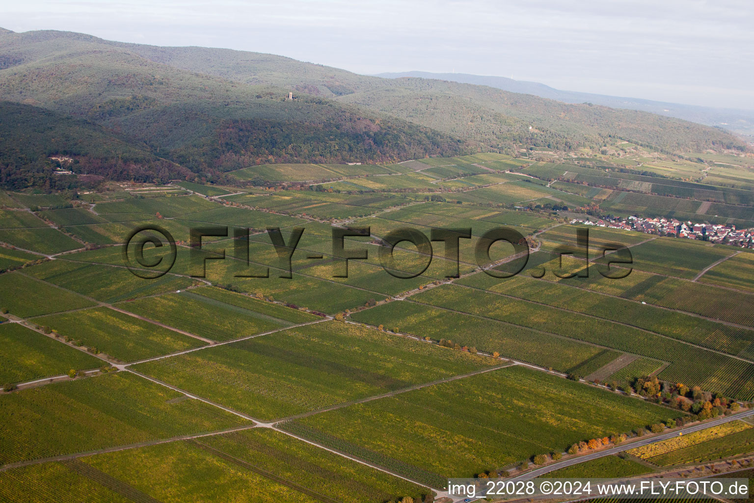 Deidesheim in the state Rhineland-Palatinate, Germany seen from above