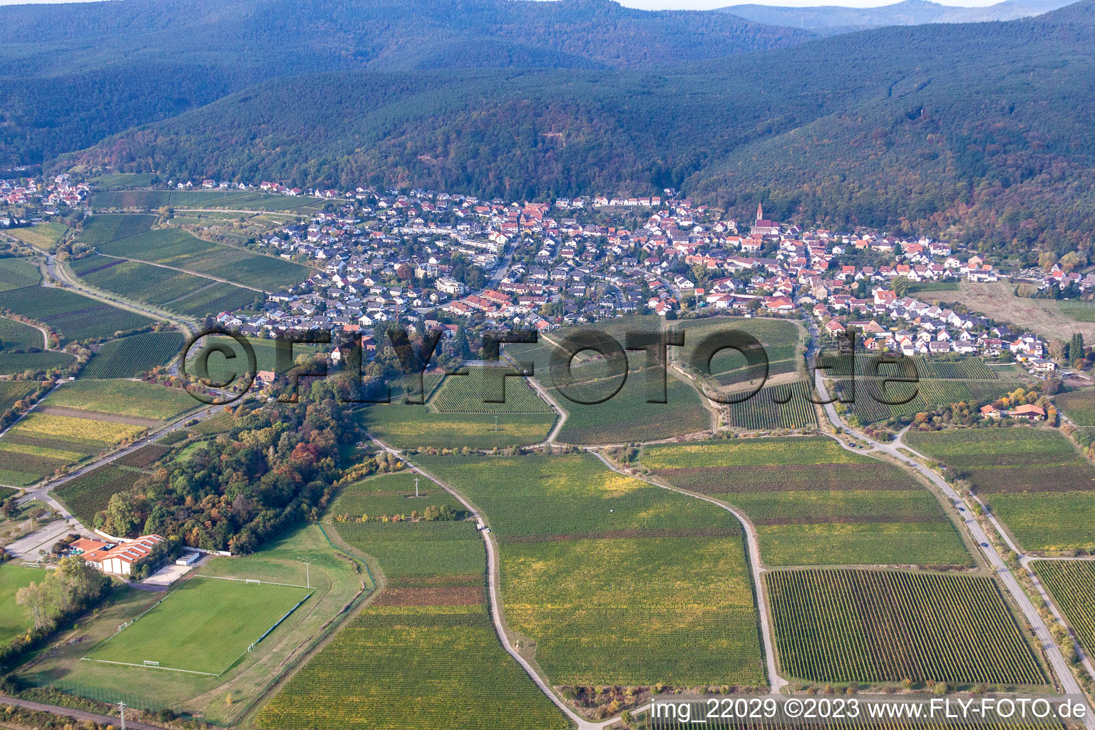 Drone recording of District Königsbach in Neustadt an der Weinstraße in the state Rhineland-Palatinate, Germany