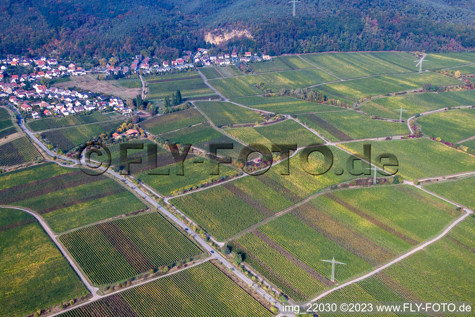 Drone image of District Königsbach in Neustadt an der Weinstraße in the state Rhineland-Palatinate, Germany