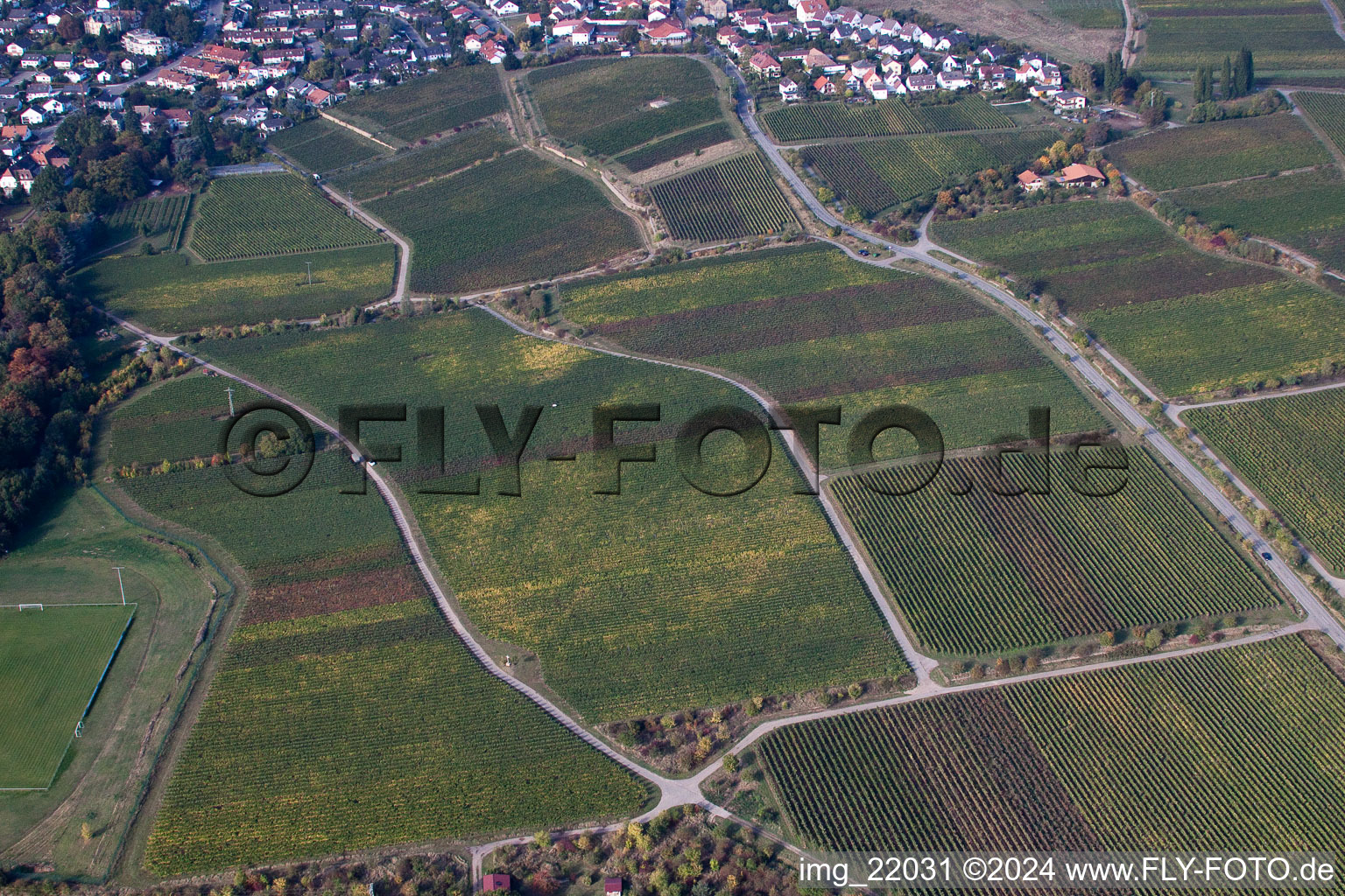 District Königsbach in Neustadt an der Weinstraße in the state Rhineland-Palatinate, Germany from the drone perspective