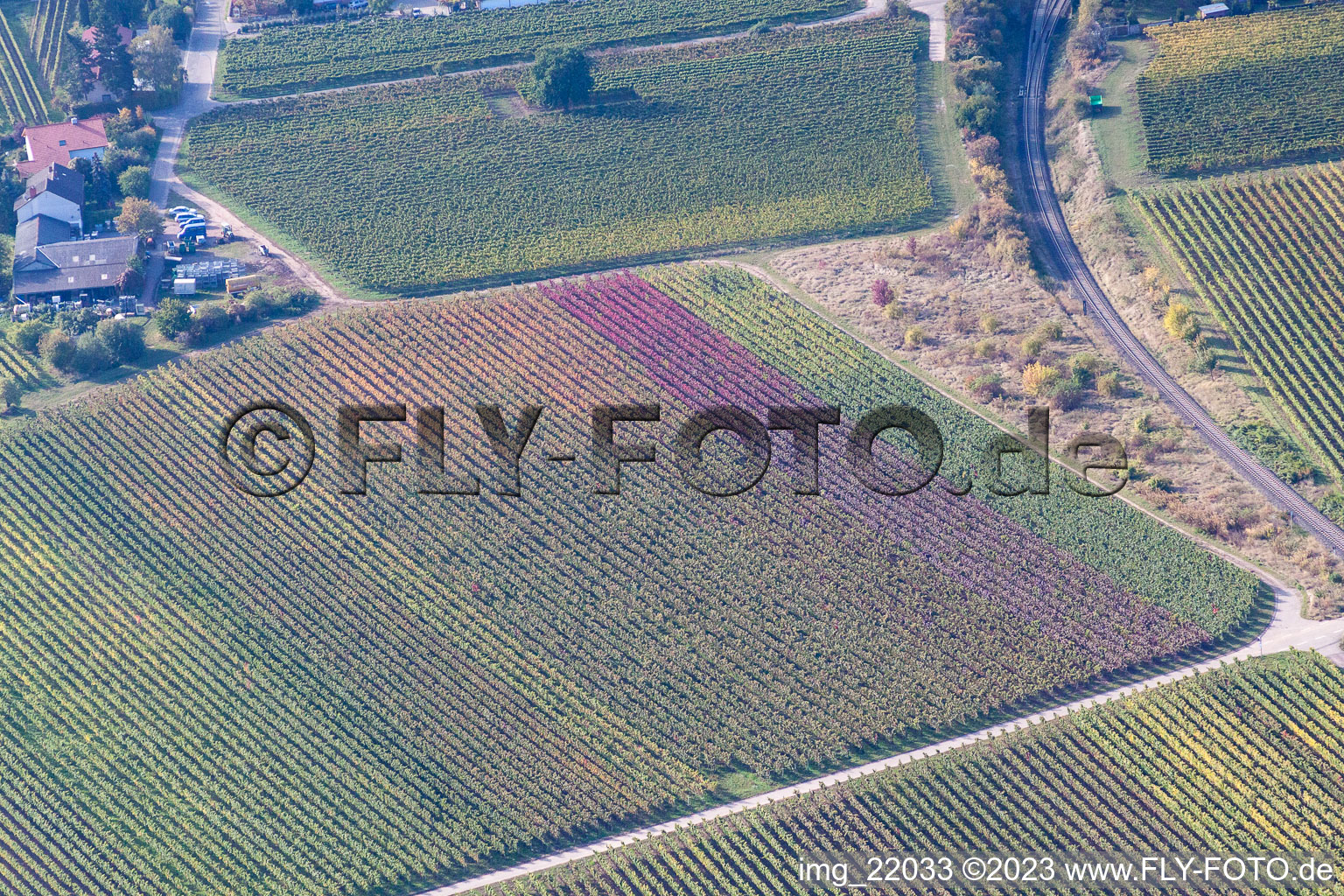 District Mußbach in Neustadt an der Weinstraße in the state Rhineland-Palatinate, Germany from the drone perspective