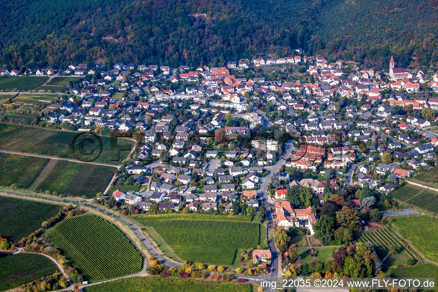 Aerial view of Village - view on the edge of wine yards in the district Koenigsbach in Neustadt an der Weinstrasse in the state Rhineland-Palatinate, Germany