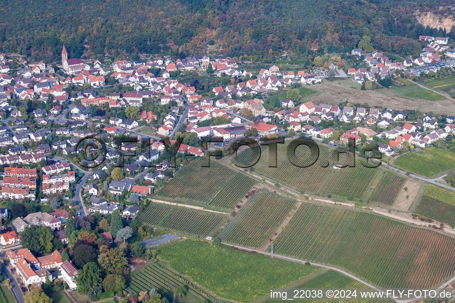 District Königsbach in Neustadt an der Weinstraße in the state Rhineland-Palatinate, Germany seen from a drone