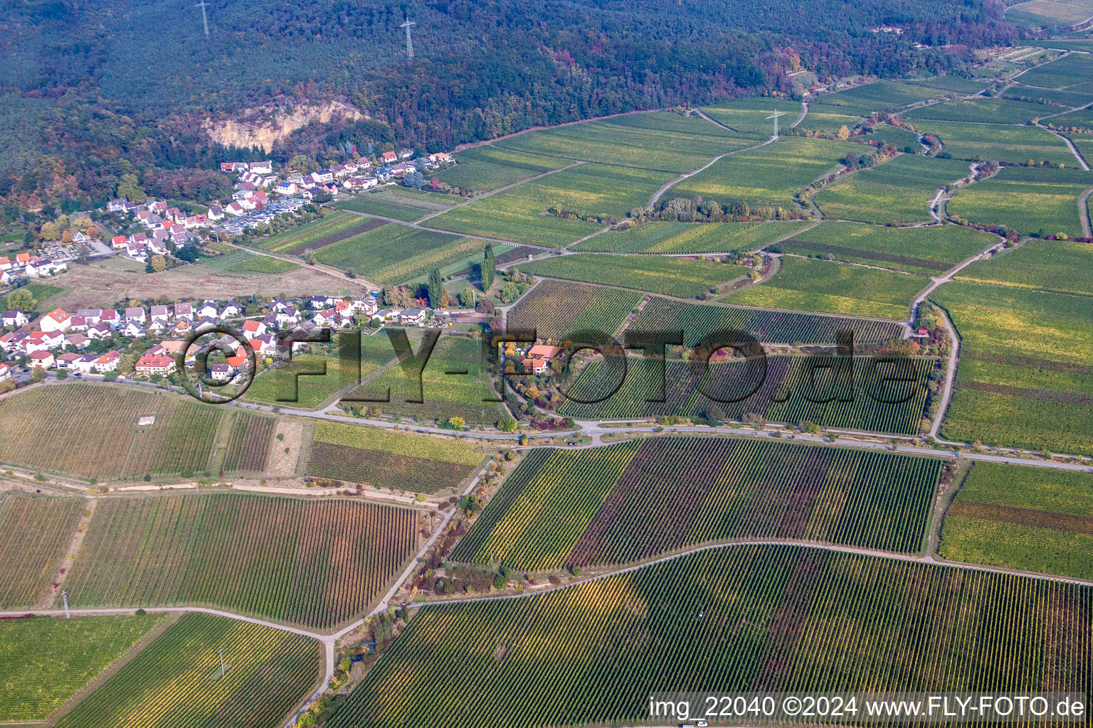 Aerial view of District Königsbach in Neustadt an der Weinstraße in the state Rhineland-Palatinate, Germany