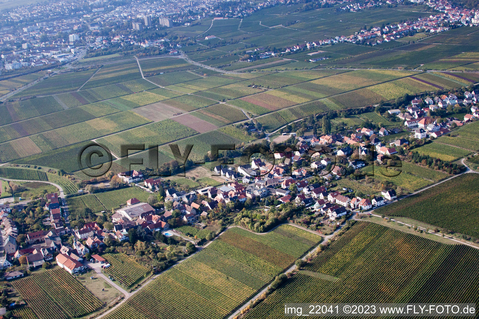 District Mußbach in Neustadt an der Weinstraße in the state Rhineland-Palatinate, Germany from a drone