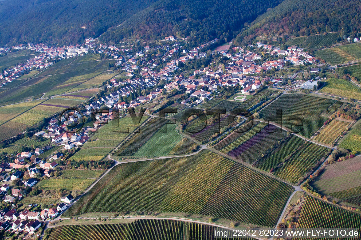 District Mußbach in Neustadt an der Weinstraße in the state Rhineland-Palatinate, Germany seen from a drone