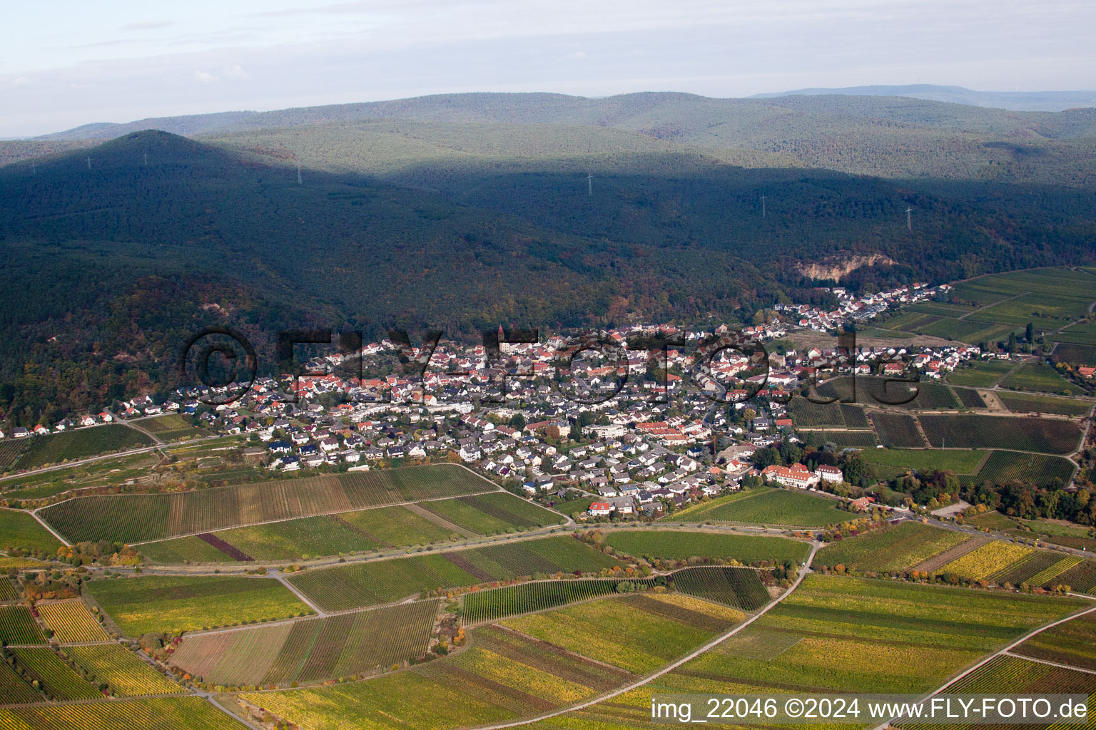 Aerial photograpy of District Königsbach in Neustadt an der Weinstraße in the state Rhineland-Palatinate, Germany