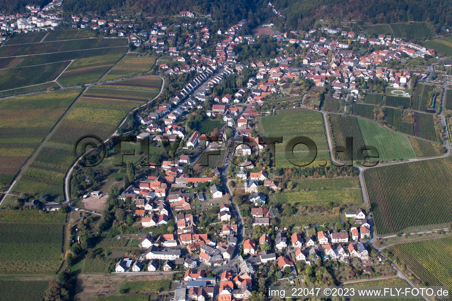 Aerial photograpy of District Mußbach in Neustadt an der Weinstraße in the state Rhineland-Palatinate, Germany