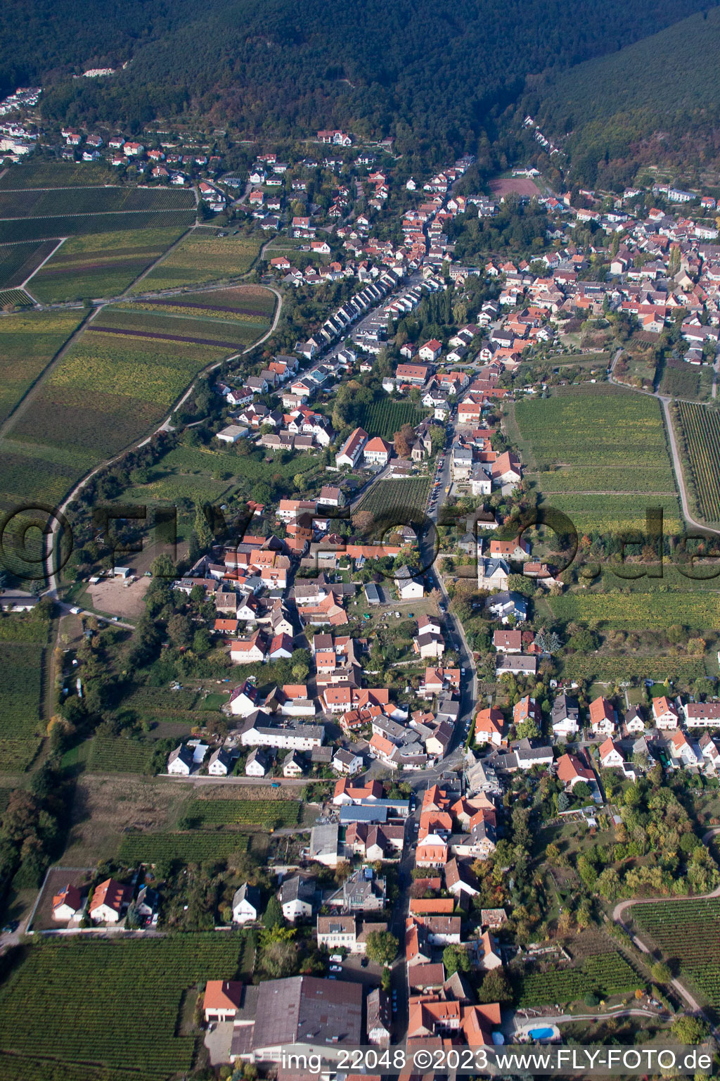 Oblique view of District Mußbach in Neustadt an der Weinstraße in the state Rhineland-Palatinate, Germany