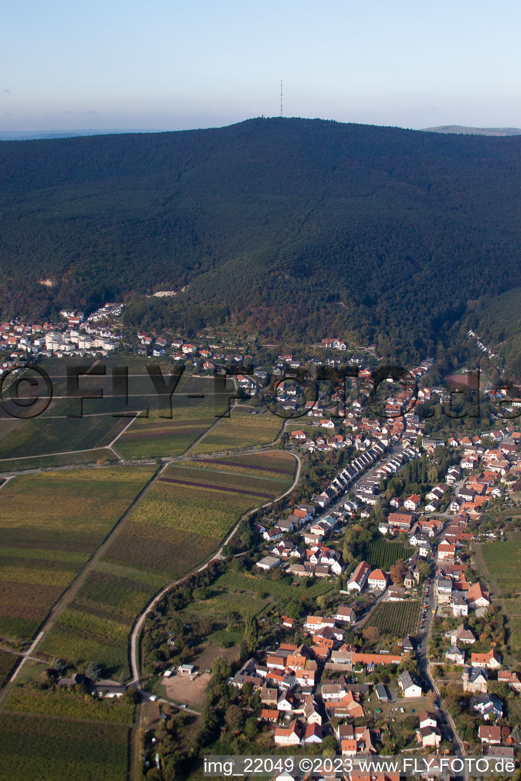 Oblique view of District Gimmeldingen in Neustadt an der Weinstraße in the state Rhineland-Palatinate, Germany