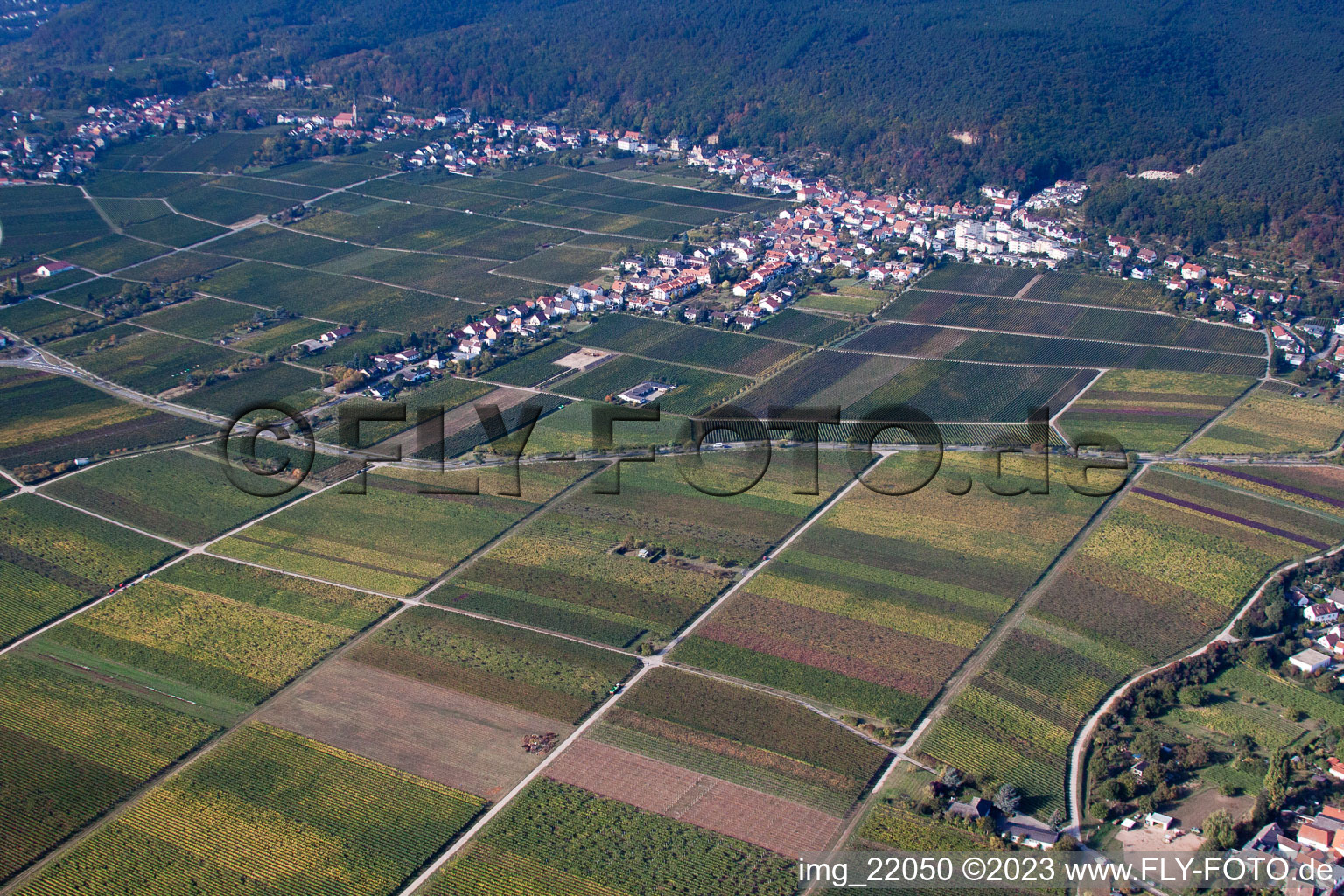 Oblique view of District Haardt in Neustadt an der Weinstraße in the state Rhineland-Palatinate, Germany