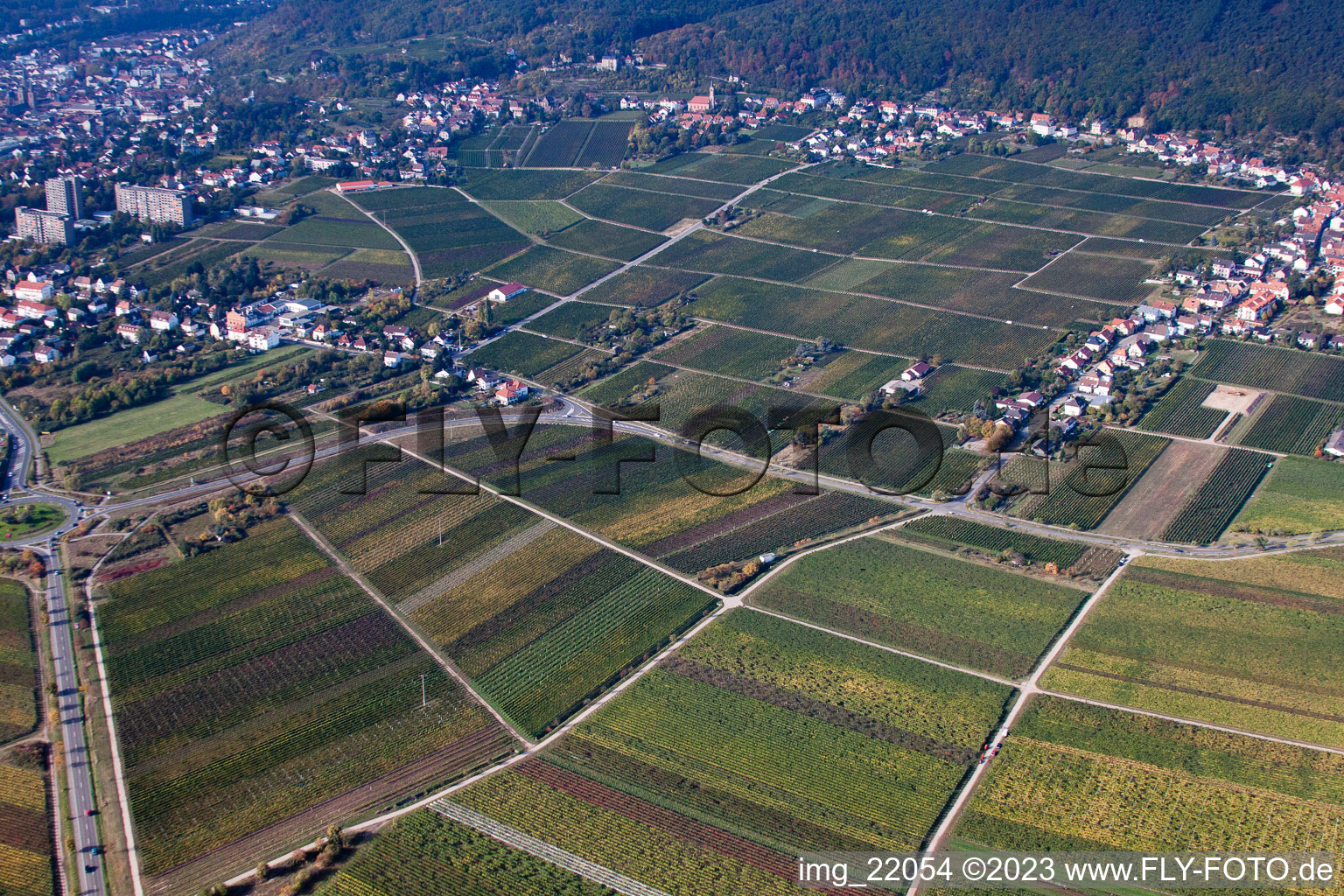 District Haardt in Neustadt an der Weinstraße in the state Rhineland-Palatinate, Germany from above