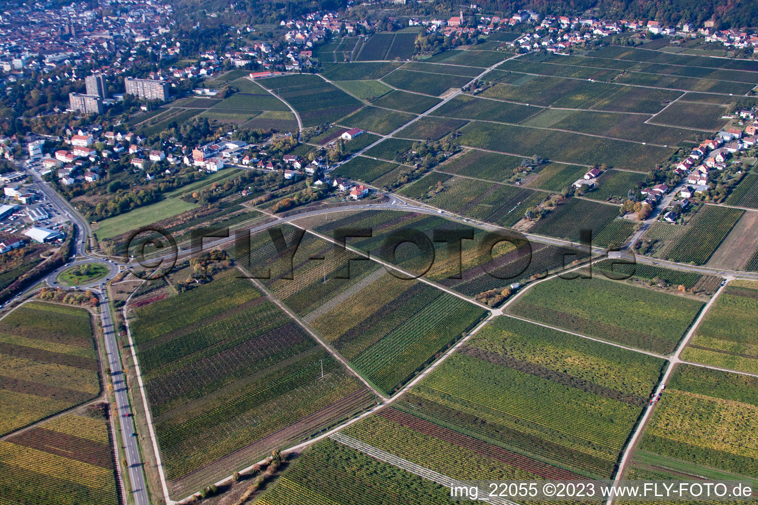 Neustadt an der Weinstraße in the state Rhineland-Palatinate, Germany from above