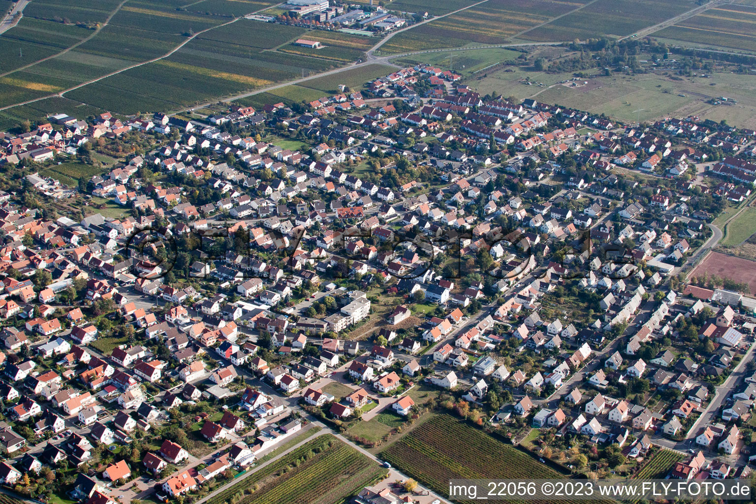 District Mußbach in Neustadt an der Weinstraße in the state Rhineland-Palatinate, Germany out of the air