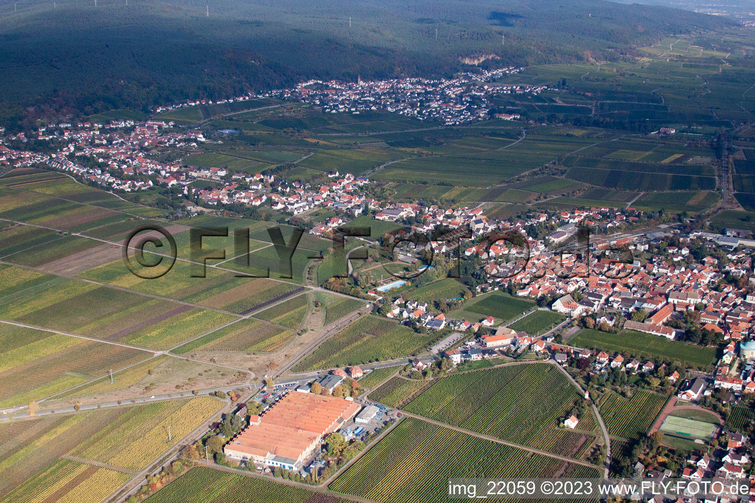 District Mußbach in Neustadt an der Weinstraße in the state Rhineland-Palatinate, Germany from the plane