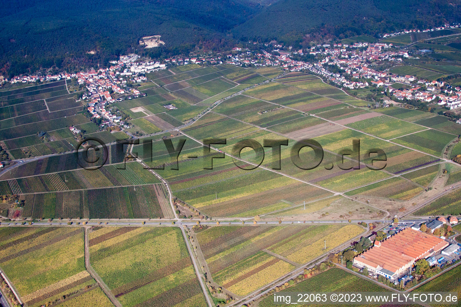 Neustadt an der Weinstraße in the state Rhineland-Palatinate, Germany out of the air