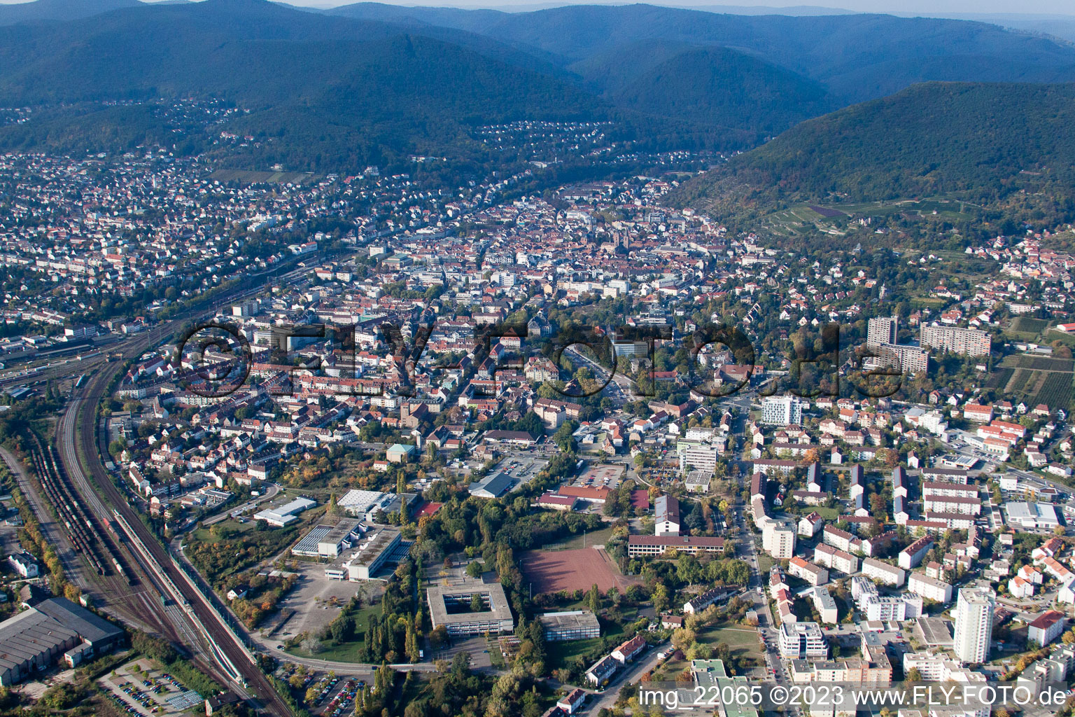 Neustadt an der Weinstraße in the state Rhineland-Palatinate, Germany from the plane