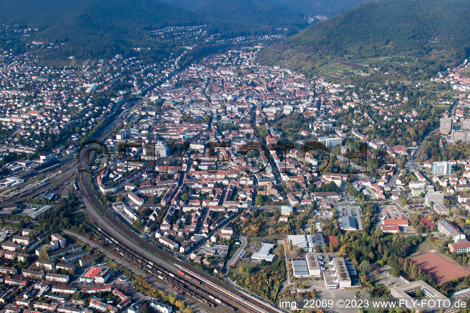 Drone image of Neustadt an der Weinstraße in the state Rhineland-Palatinate, Germany