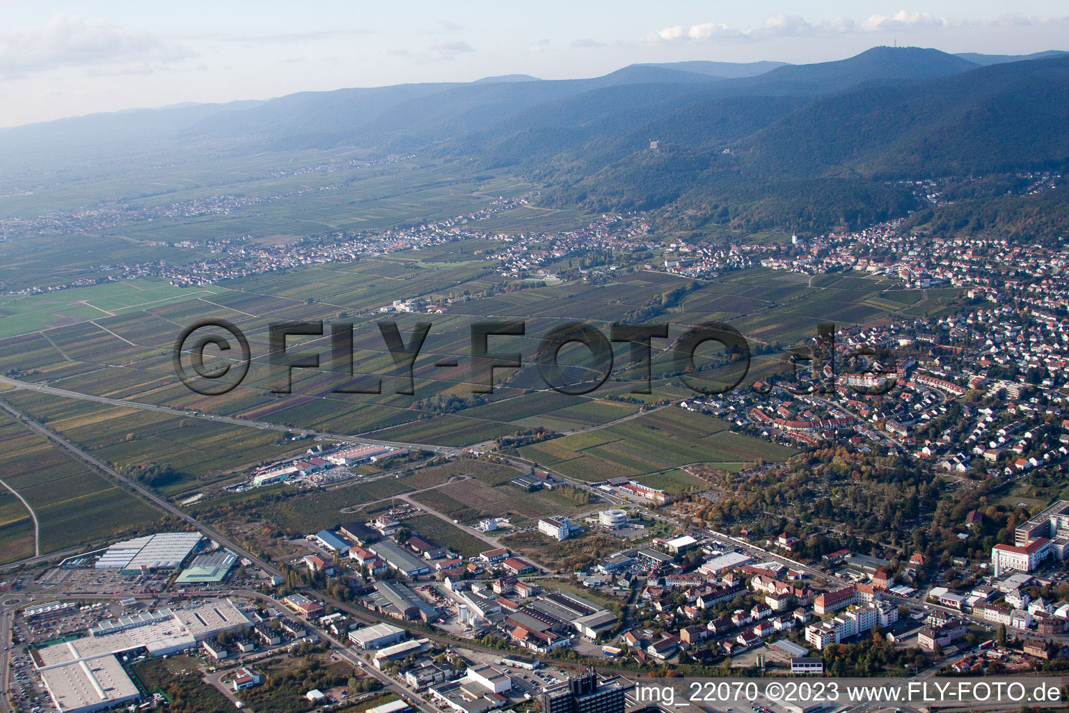 Neustadt an der Weinstraße in the state Rhineland-Palatinate, Germany from the drone perspective