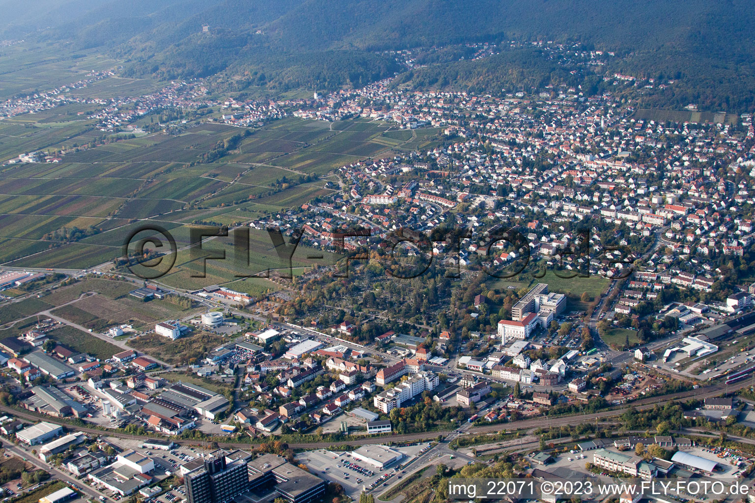 Neustadt an der Weinstraße in the state Rhineland-Palatinate, Germany from a drone