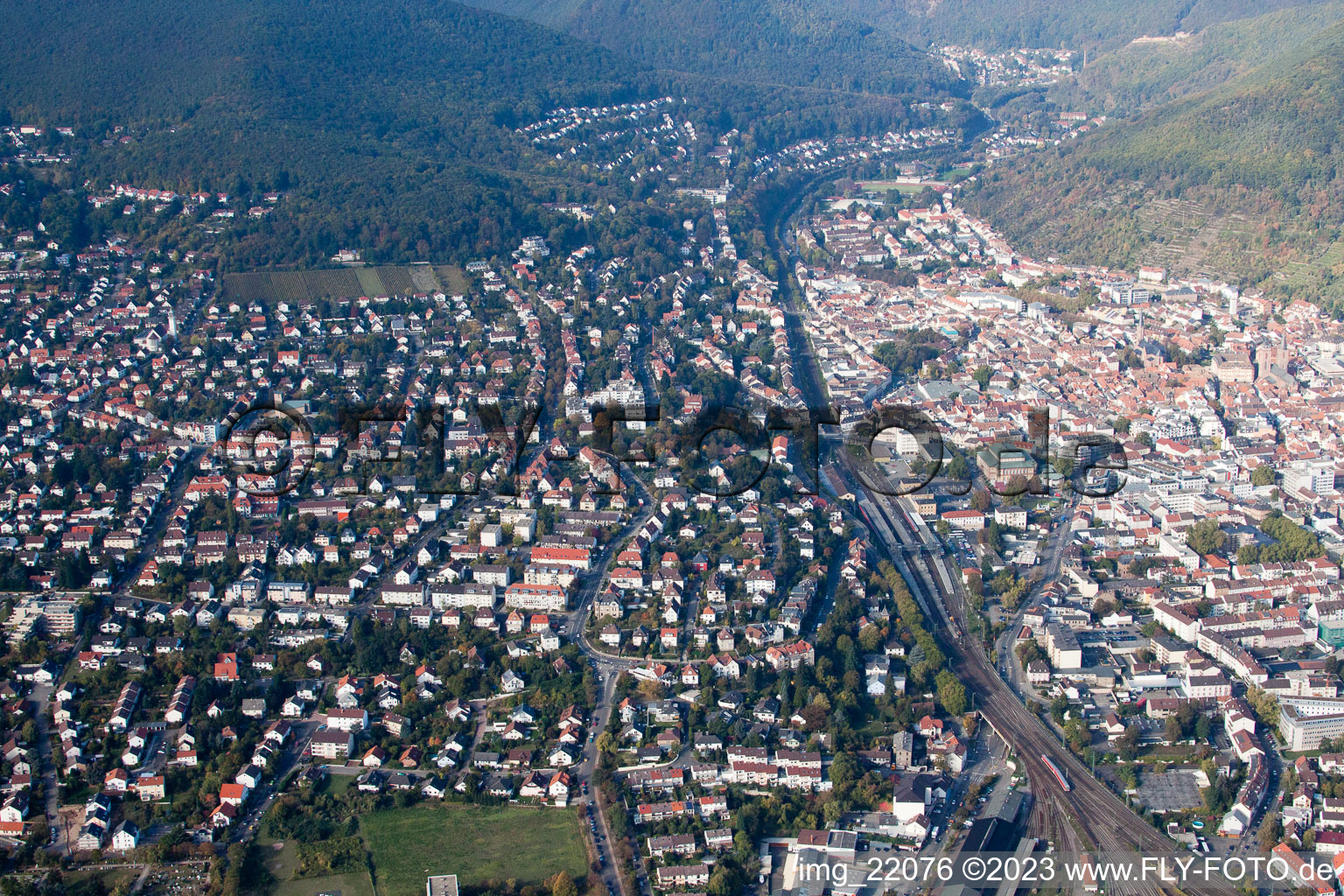 Neustadt an der Weinstraße in the state Rhineland-Palatinate, Germany seen from a drone