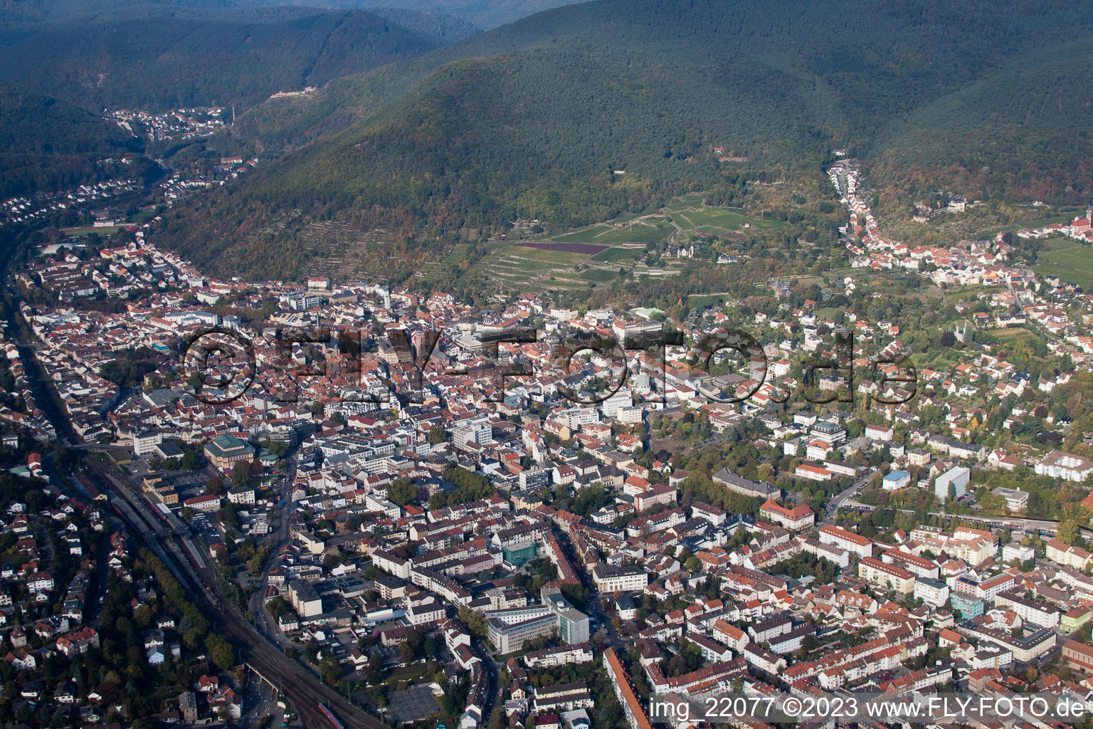 Aerial view of Neustadt an der Weinstraße in the state Rhineland-Palatinate, Germany