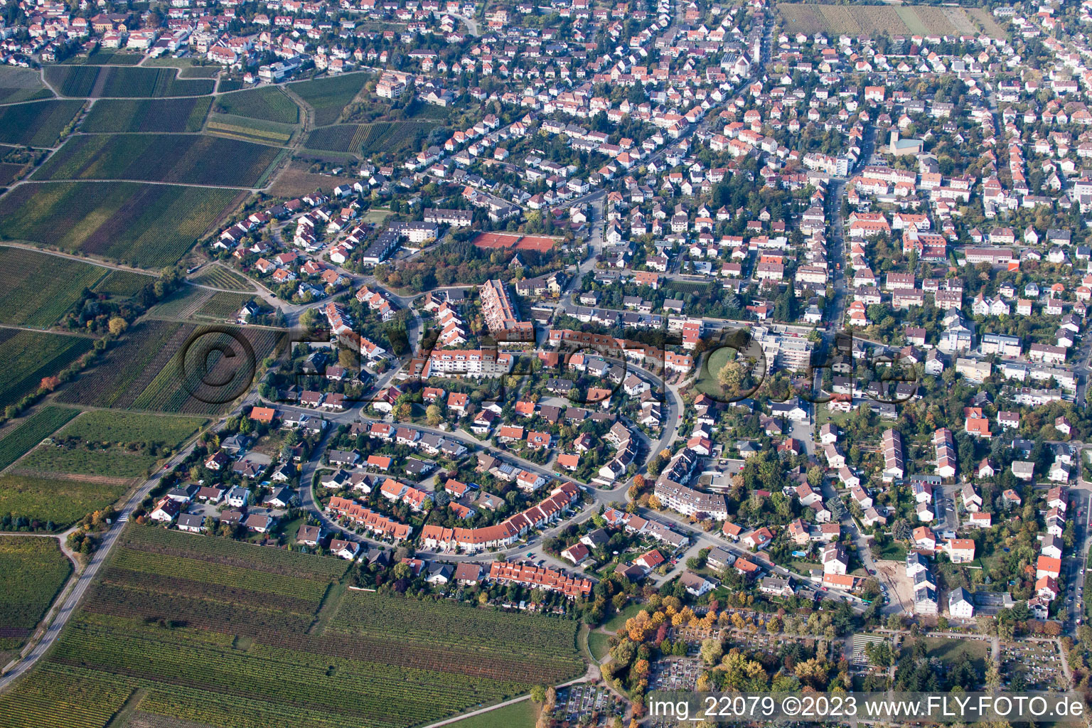 Maconring in Neustadt an der Weinstraße in the state Rhineland-Palatinate, Germany