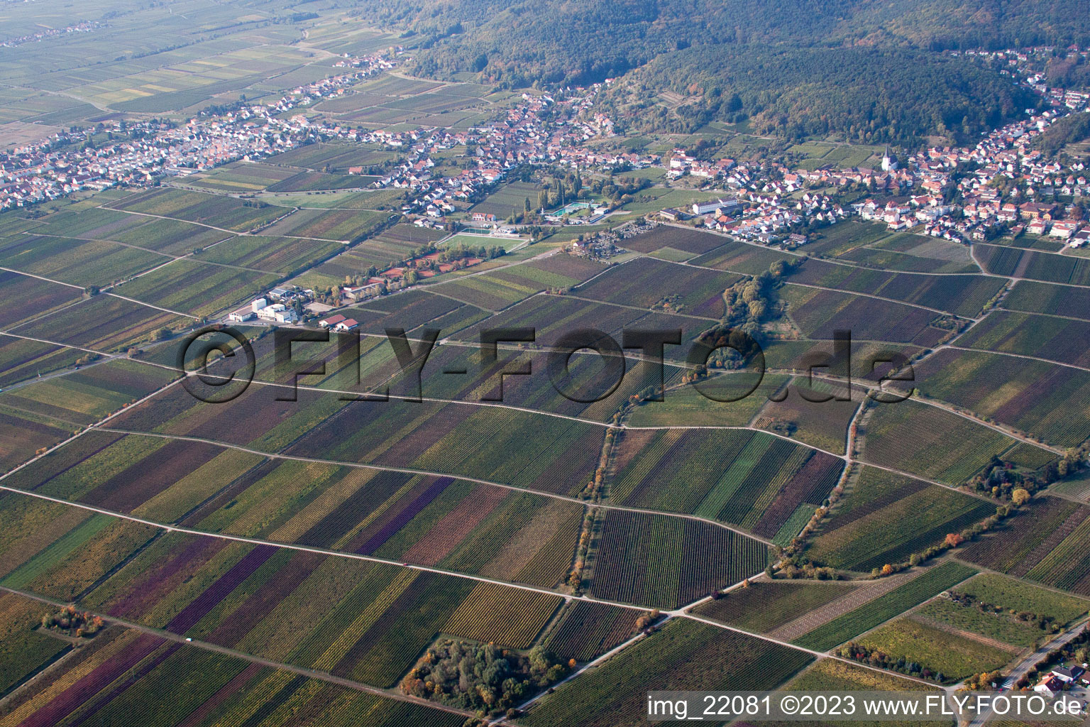 District Hambach an der Weinstraße in Neustadt an der Weinstraße in the state Rhineland-Palatinate, Germany from the drone perspective