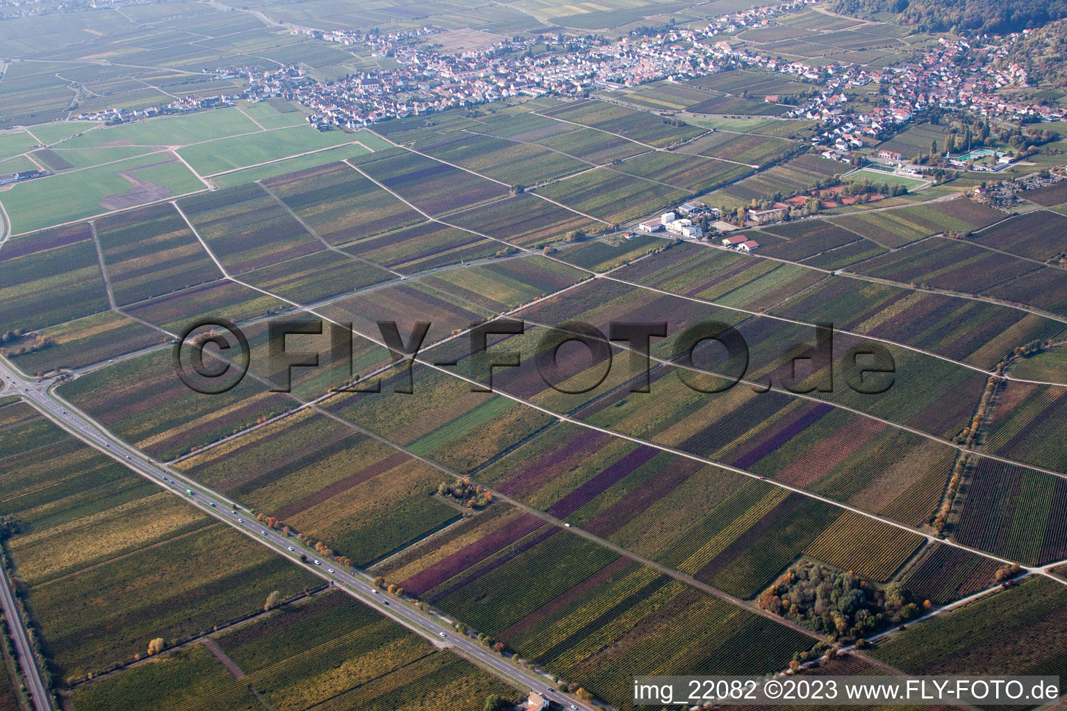 District Hambach an der Weinstraße in Neustadt an der Weinstraße in the state Rhineland-Palatinate, Germany from a drone