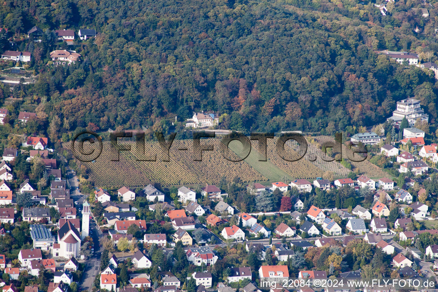 Fields of wine cultivation landscape in the district Hambach in Neustadt an der Weinstrasse in the state Rhineland-Palatinate