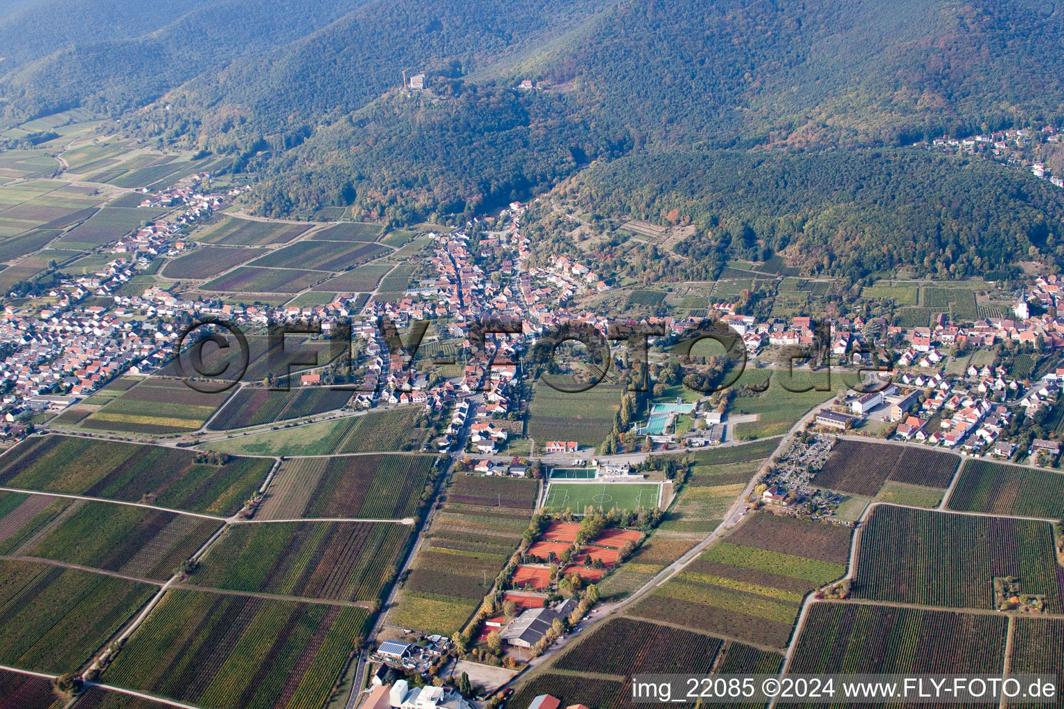 Fields of wine cultivation landscape in the district Hambach in Neustadt an der Weinstrasse in the state Rhineland-Palatinate