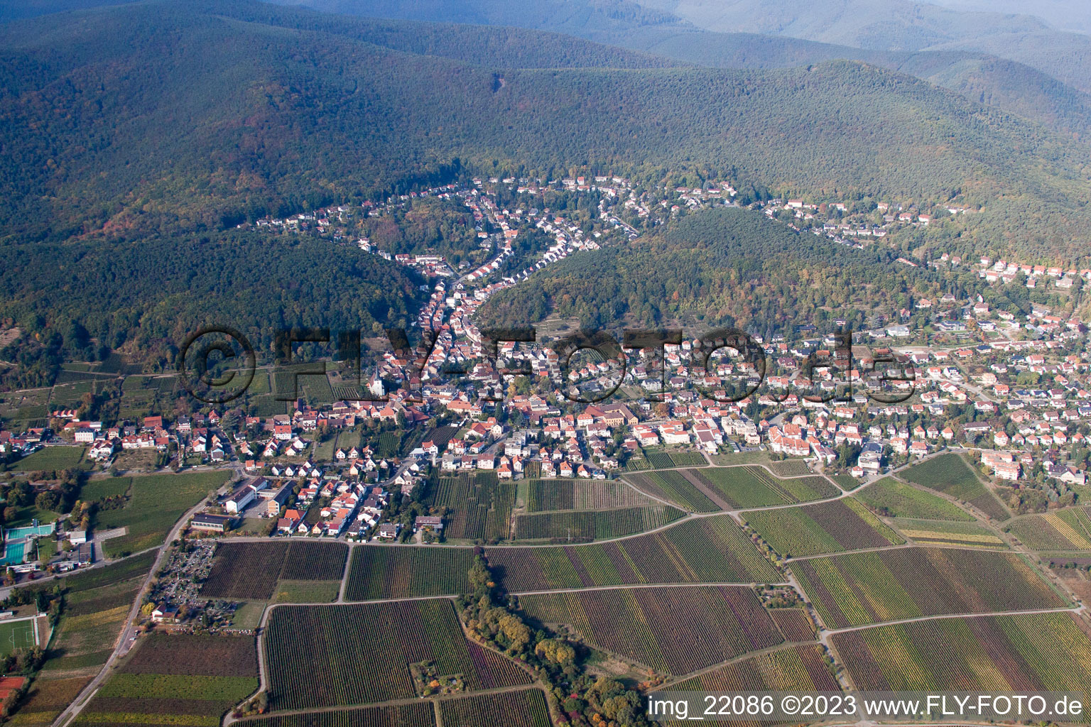 District Hambach an der Weinstraße in Neustadt an der Weinstraße in the state Rhineland-Palatinate, Germany seen from a drone