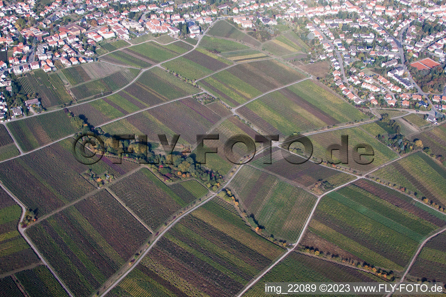 Aerial view of District Hambach an der Weinstraße in Neustadt an der Weinstraße in the state Rhineland-Palatinate, Germany