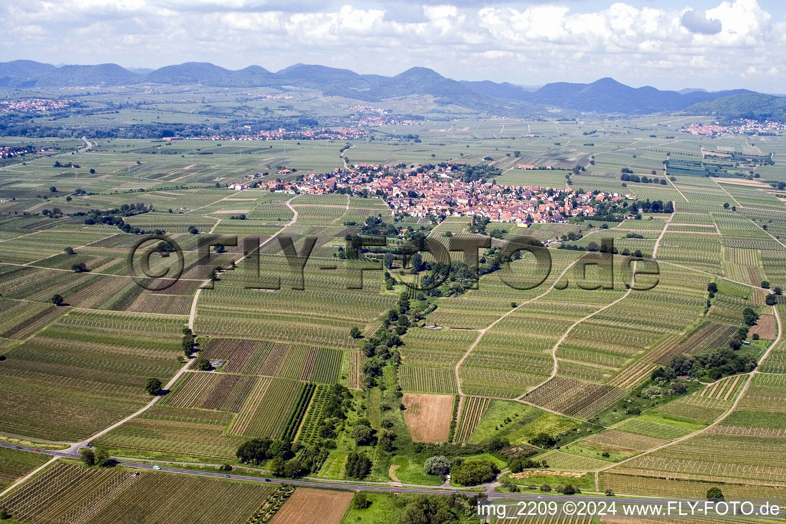 Fields of wine cultivation landscape in the district Nussdorf in Landau in der Pfalz in the state Rhineland-Palatinate