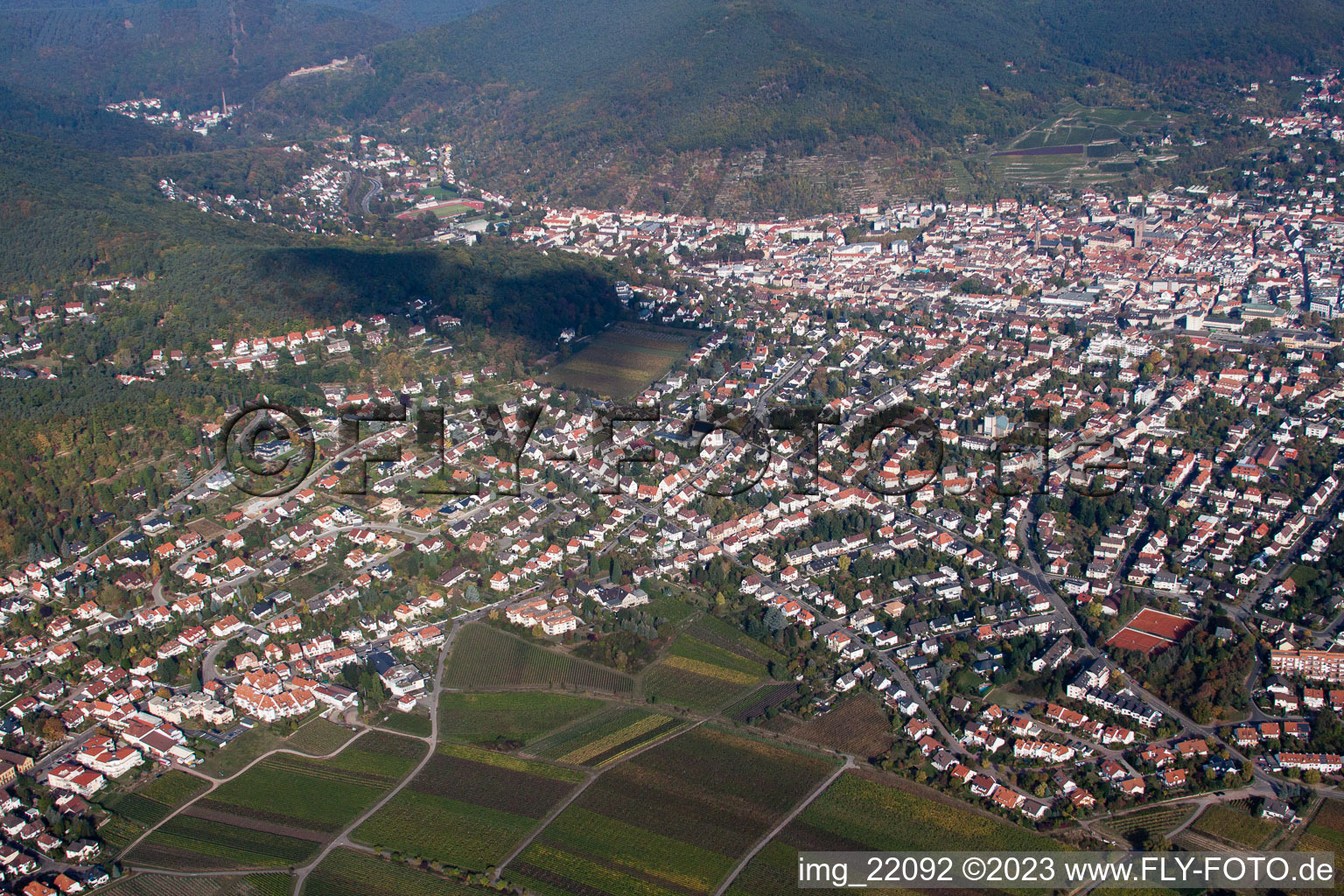 Oblique view of Neustadt an der Weinstraße in the state Rhineland-Palatinate, Germany