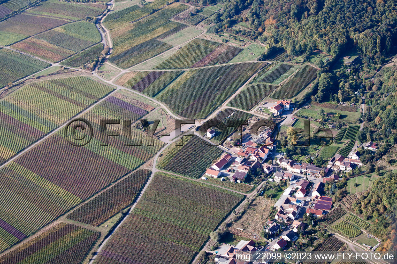 Drone image of District Diedesfeld in Neustadt an der Weinstraße in the state Rhineland-Palatinate, Germany
