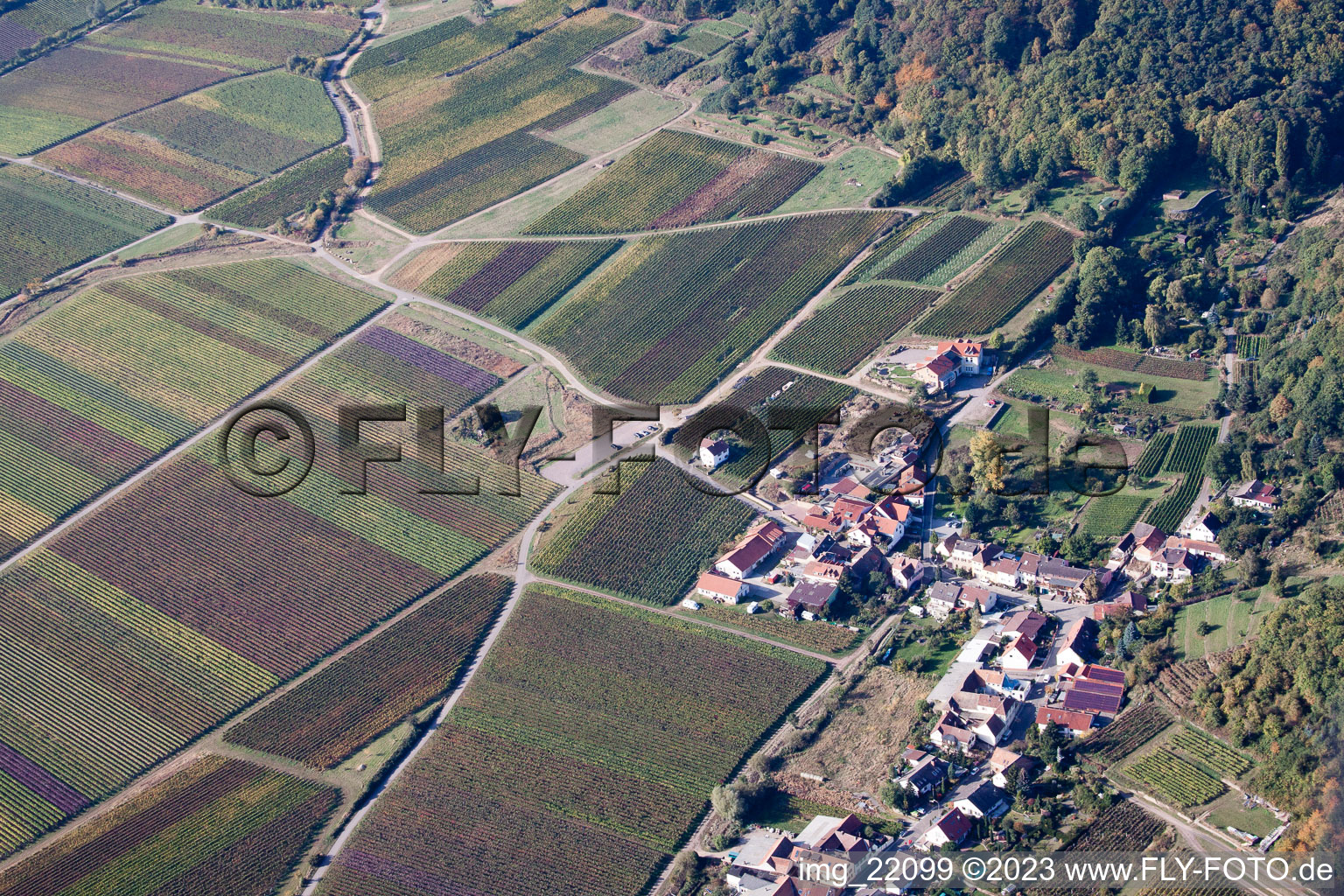 Aerial view of District Diedesfeld in Neustadt an der Weinstraße in the state Rhineland-Palatinate, Germany