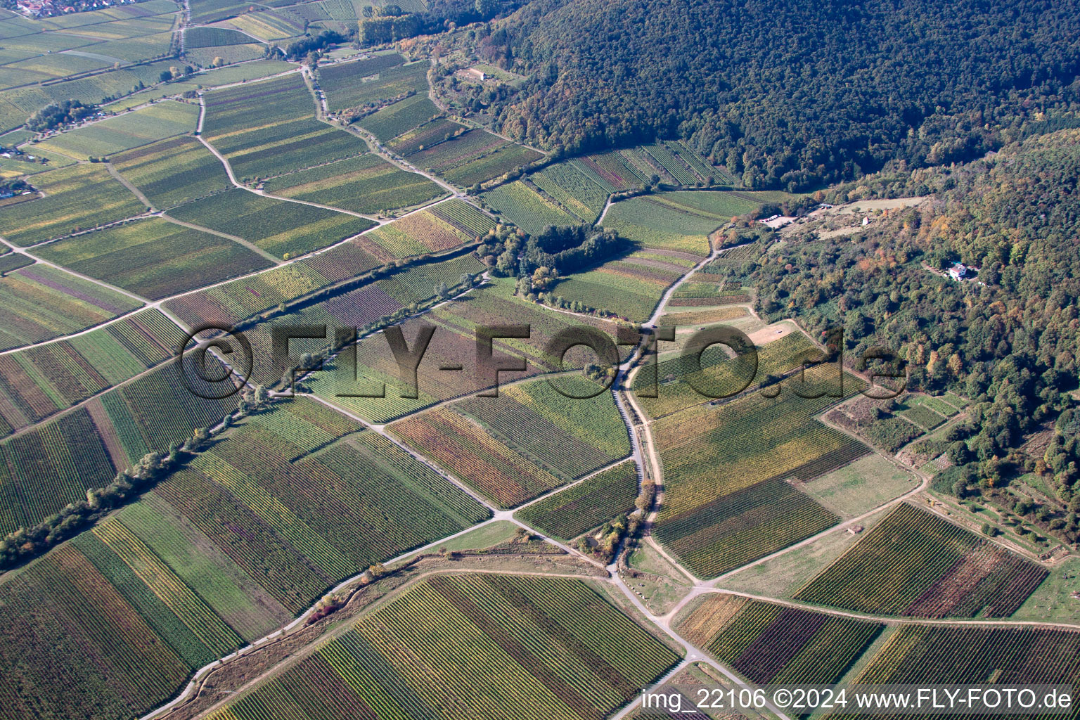 Fields of wine cultivation landscape in the district Hambach in Neustadt an der Weinstrasse in the state Rhineland-Palatinate