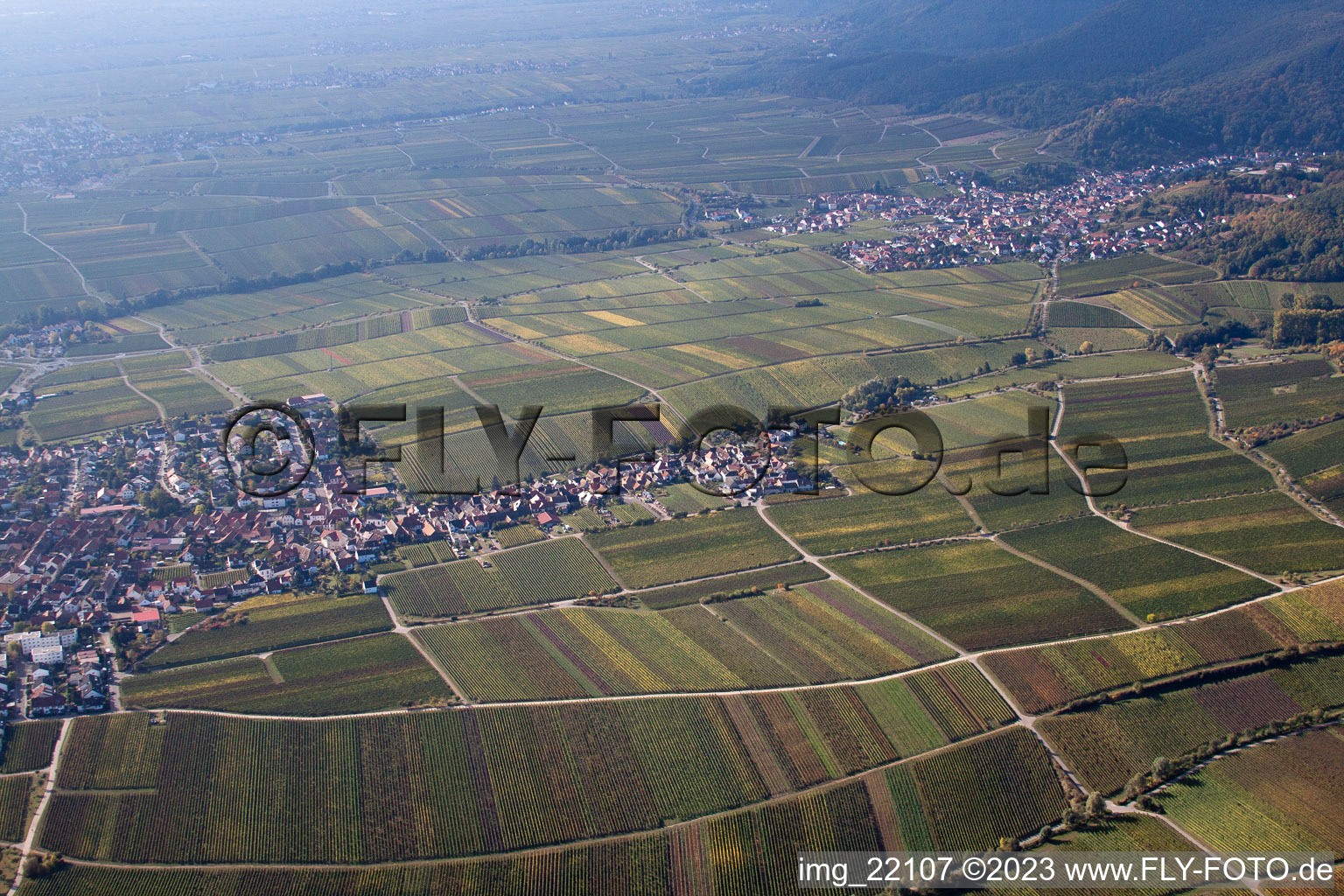 Oblique view of District Diedesfeld in Neustadt an der Weinstraße in the state Rhineland-Palatinate, Germany