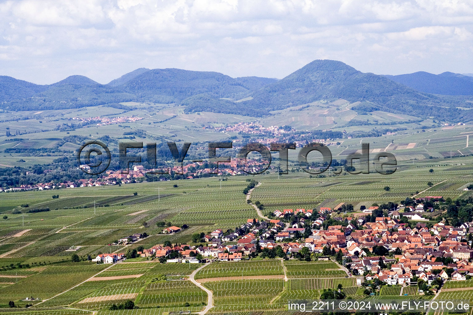 District Nußdorf in Landau in der Pfalz in the state Rhineland-Palatinate, Germany from a drone