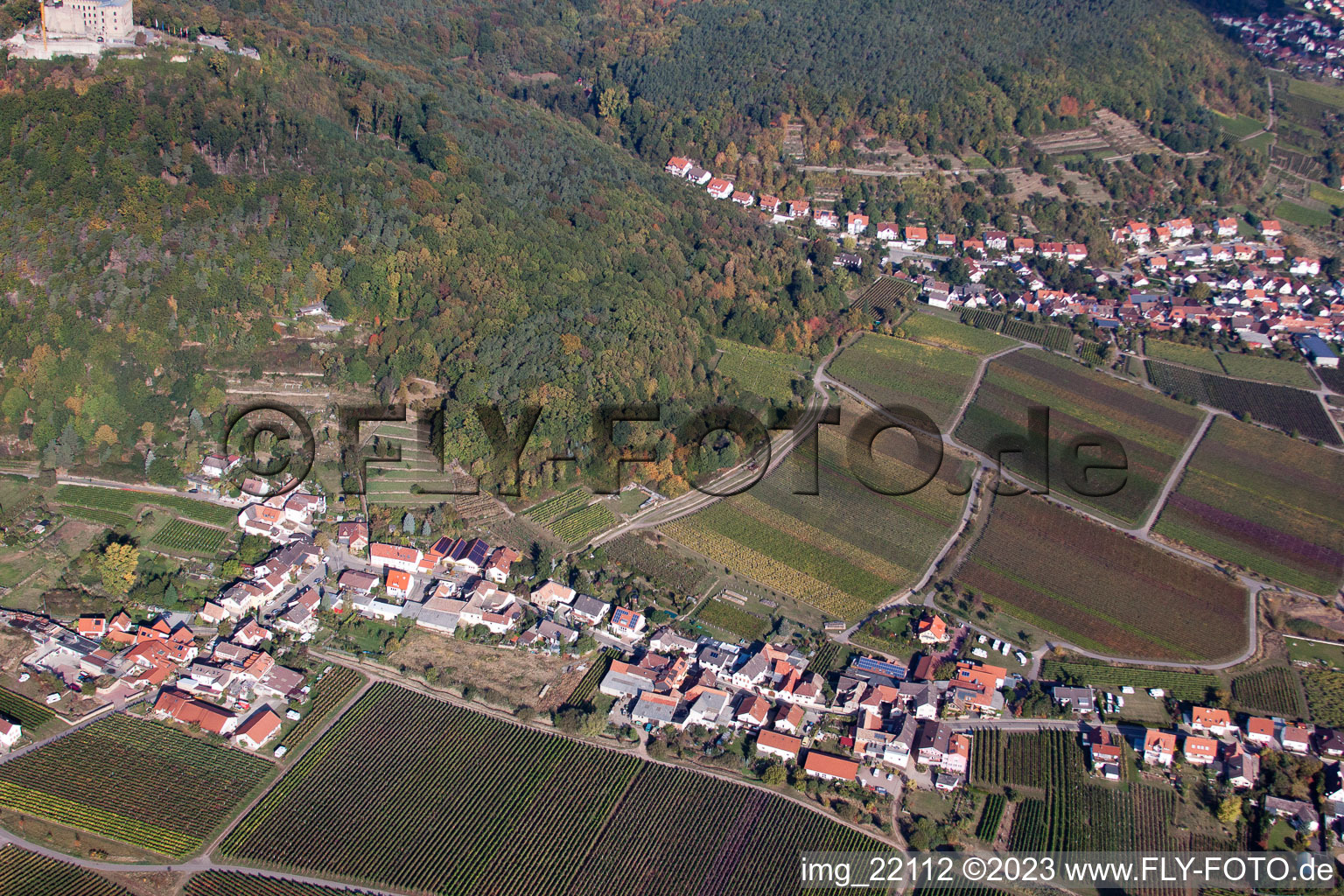 District Diedesfeld in Neustadt an der Weinstraße in the state Rhineland-Palatinate, Germany from above