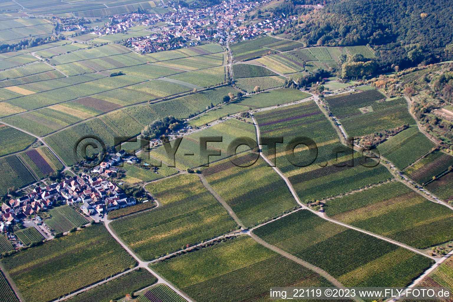 Drone image of District Diedesfeld in Neustadt an der Weinstraße in the state Rhineland-Palatinate, Germany