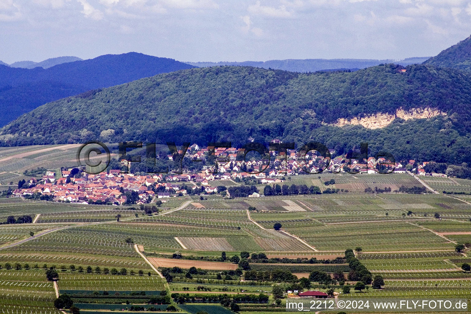 Frankweiler in the state Rhineland-Palatinate, Germany out of the air