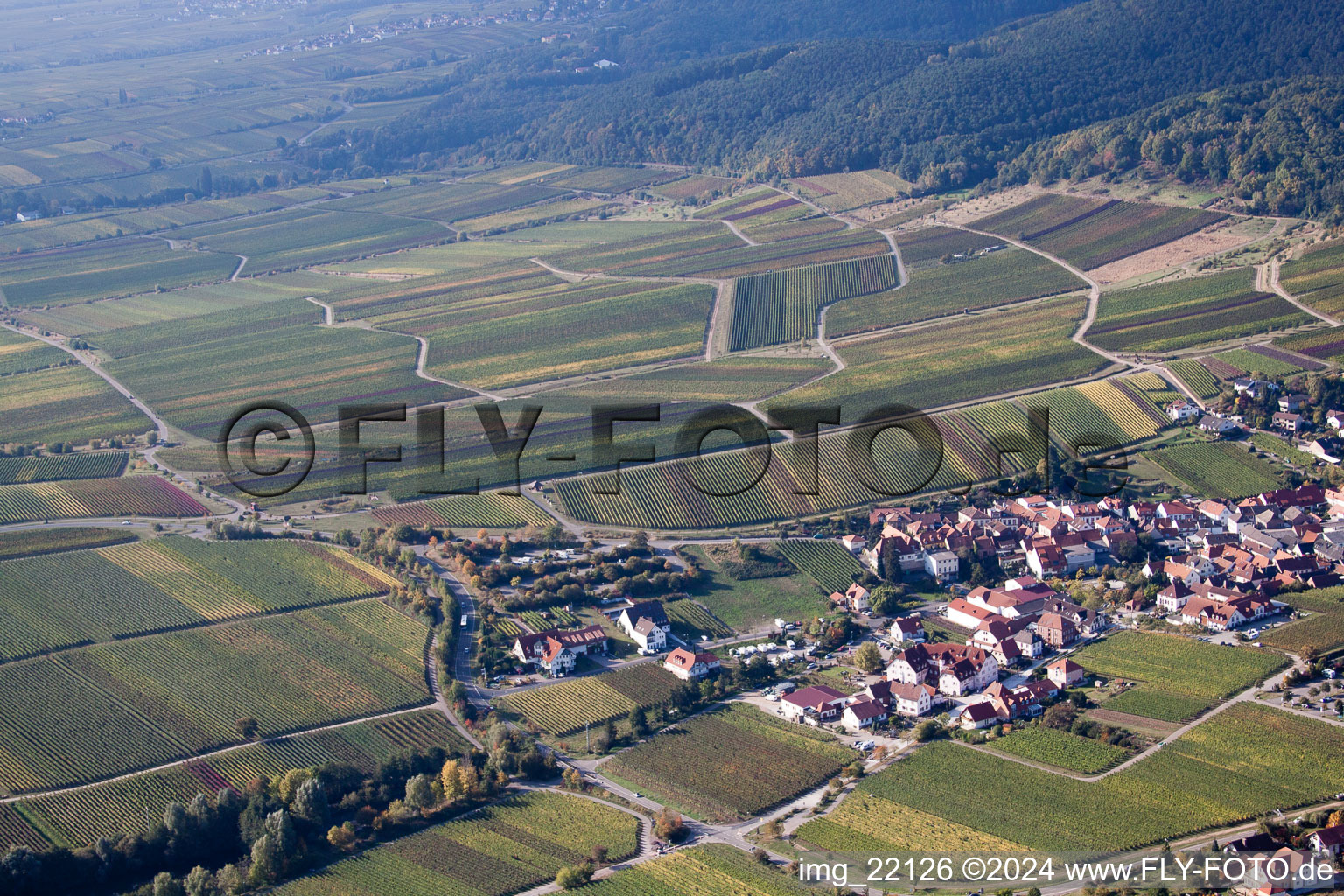 St. Martin in Sankt Martin in the state Rhineland-Palatinate, Germany seen from above