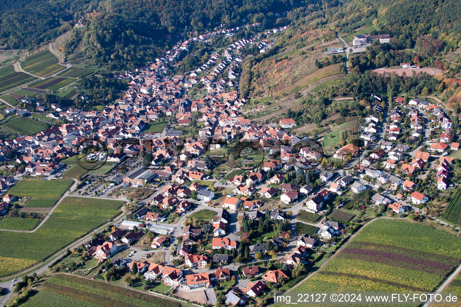 St. Martin in Sankt Martin in the state Rhineland-Palatinate, Germany from the plane