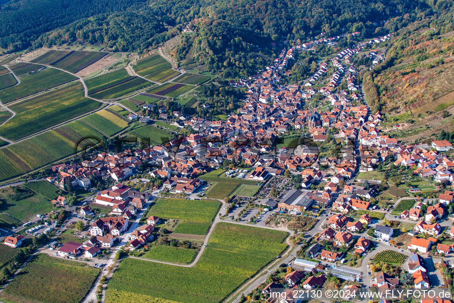 Drone image of Maikammer in the state Rhineland-Palatinate, Germany