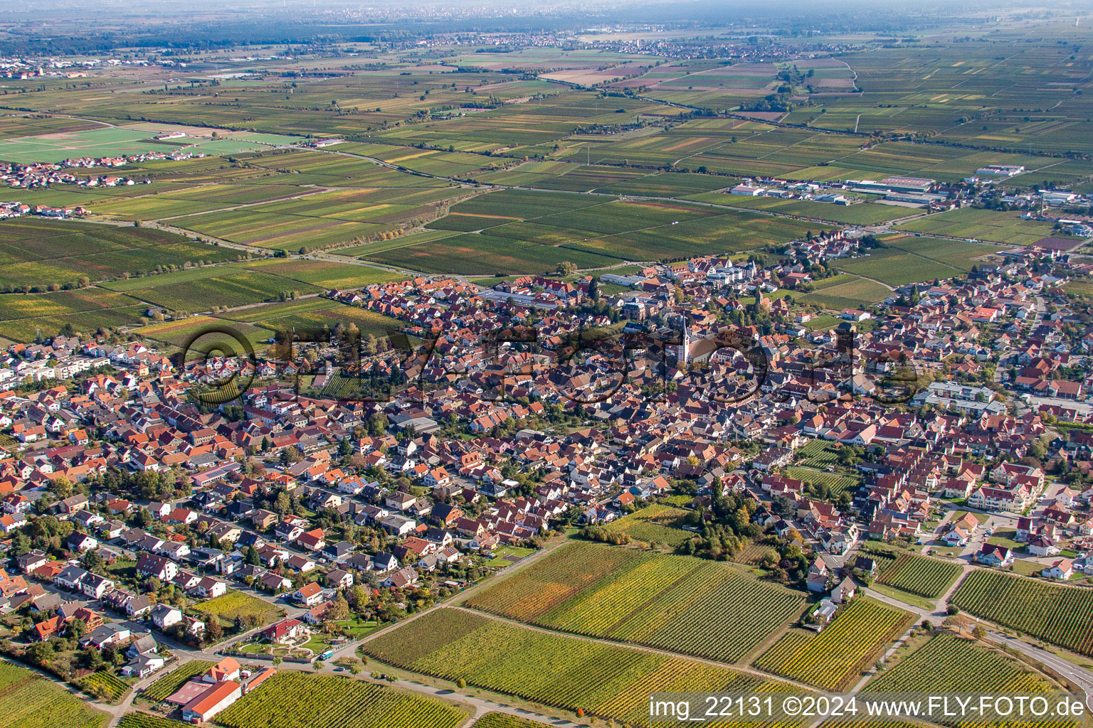 From the west in Maikammer in the state Rhineland-Palatinate, Germany